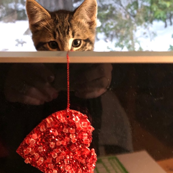 Meet your Posher, Julie - Picture 1 of 1